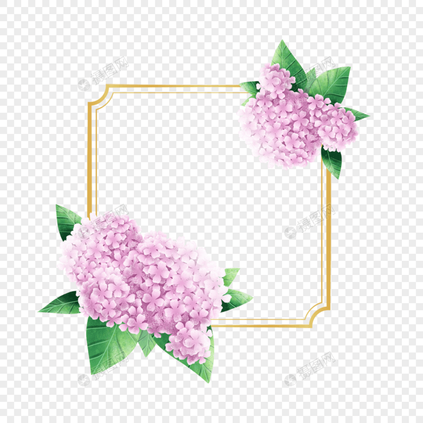绣球花卉水彩复古边框图片