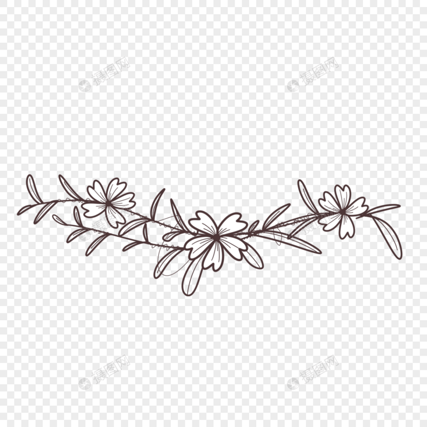 花卉叶子分割线图片