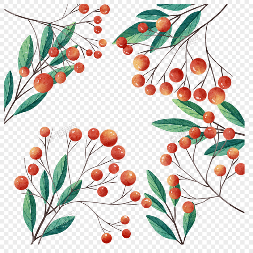 圣诞节浆果植物装饰水彩图片