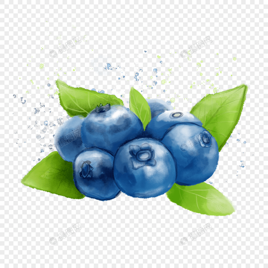 水彩风格蓝莓水果插画图片