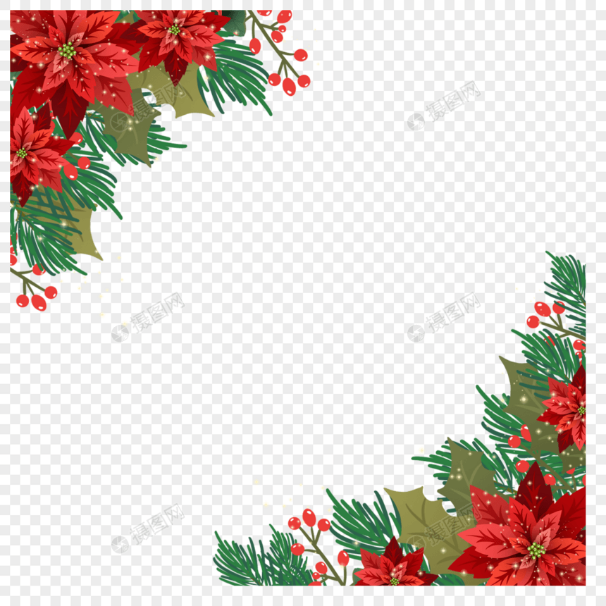 圣诞一品红花边框红色自然图片