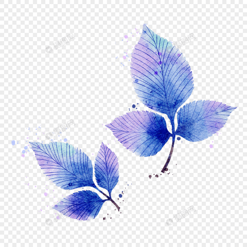 水彩蓝紫色晕染植物图片
