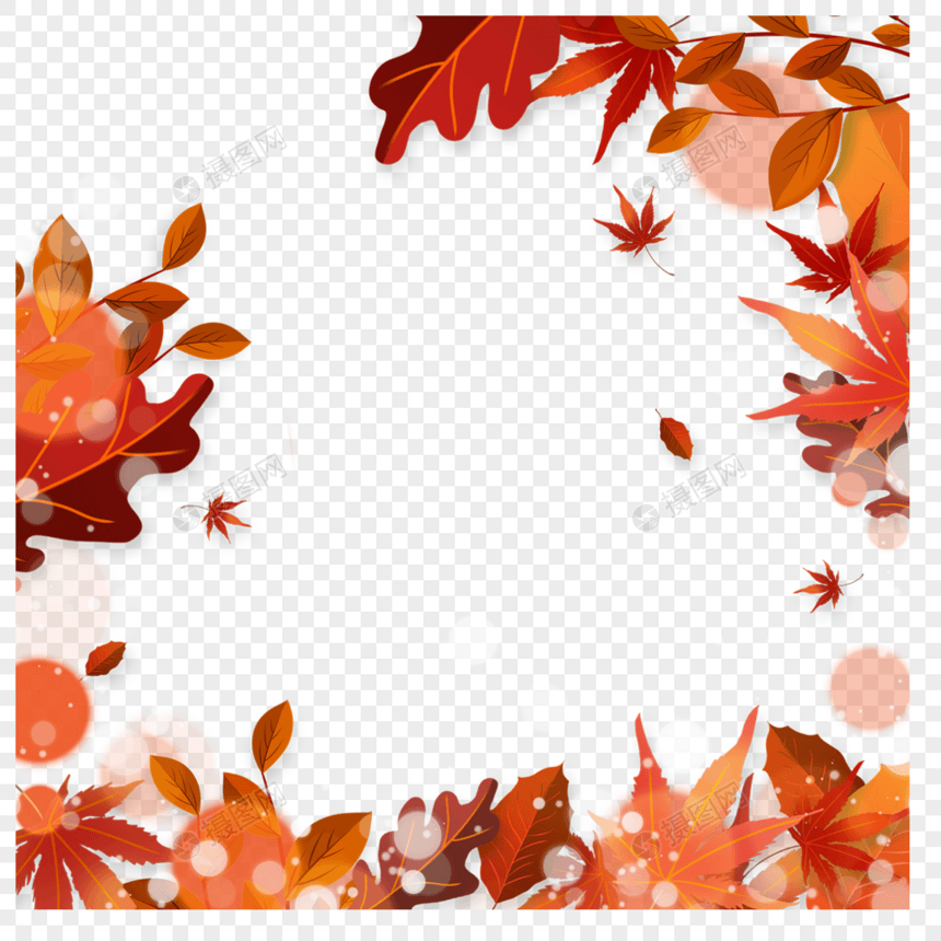 秋季光效树叶边框季节图片