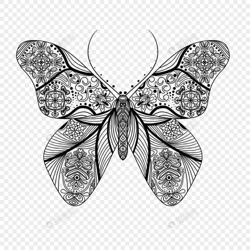蝴蝶蕾丝抽象图案图片