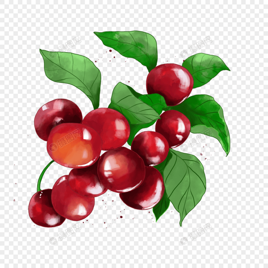 红色亮晶晶水彩樱桃食物车厘子图片