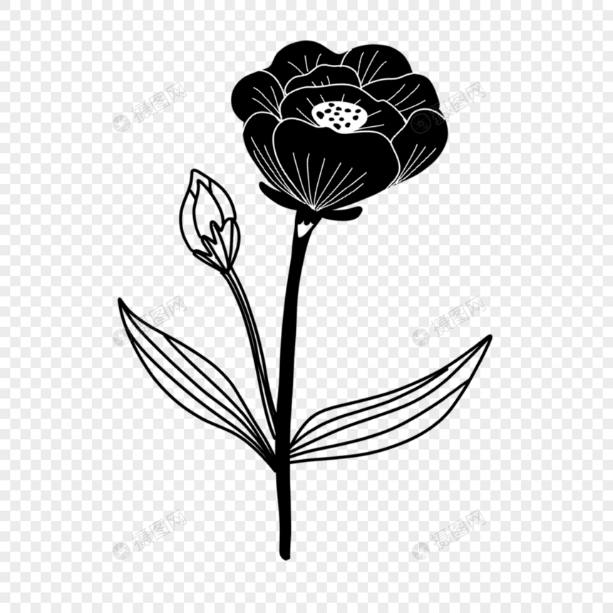 创意黑白单色涂鸦手绘可爱花朵图片