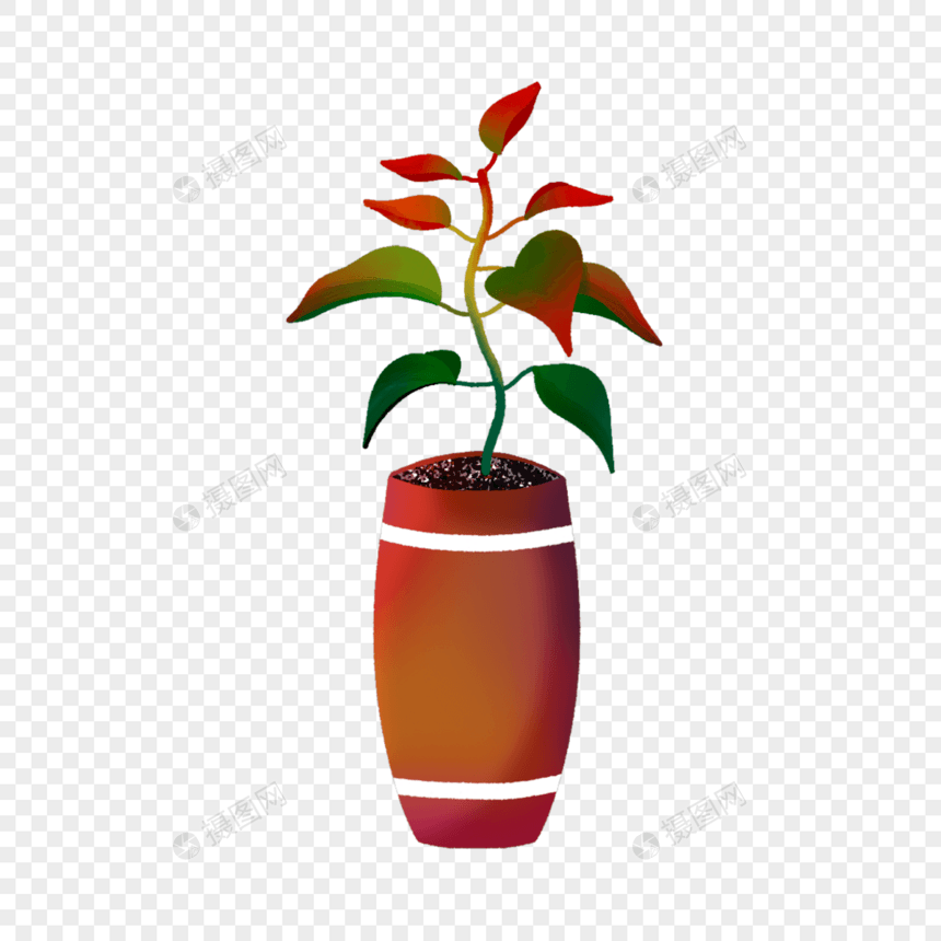 室内植物盆栽水彩图片