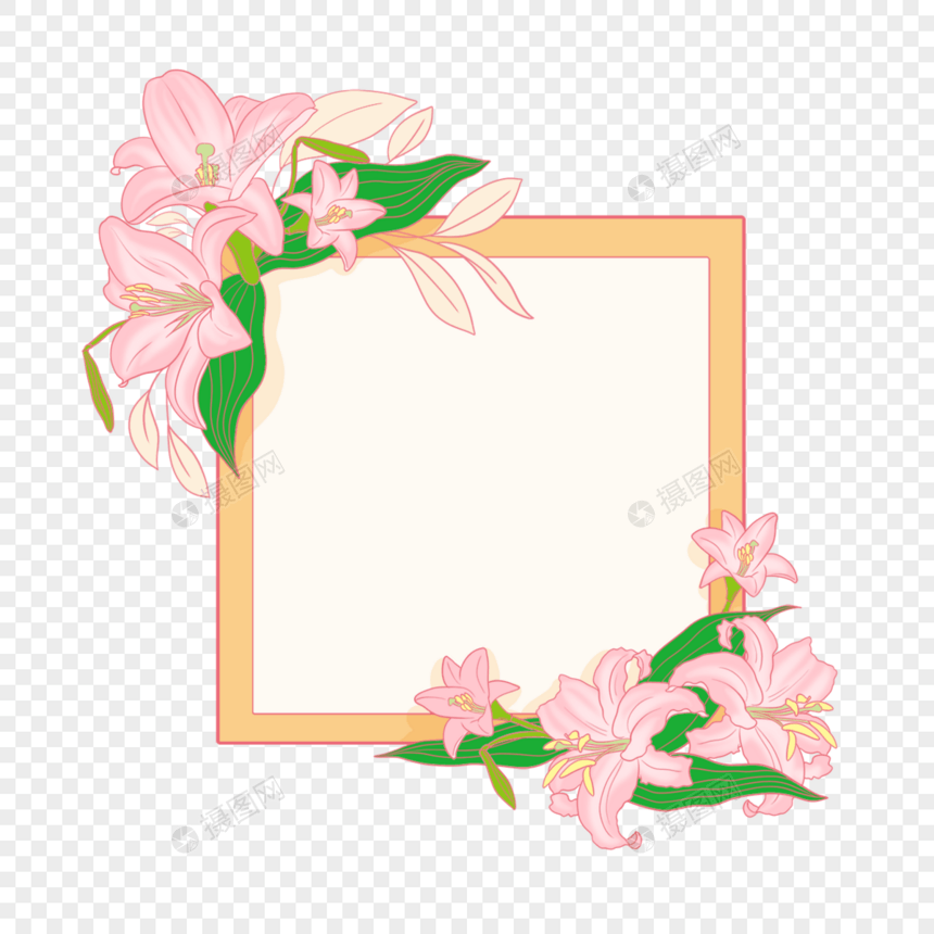 美丽百合花卉婚礼边框图片