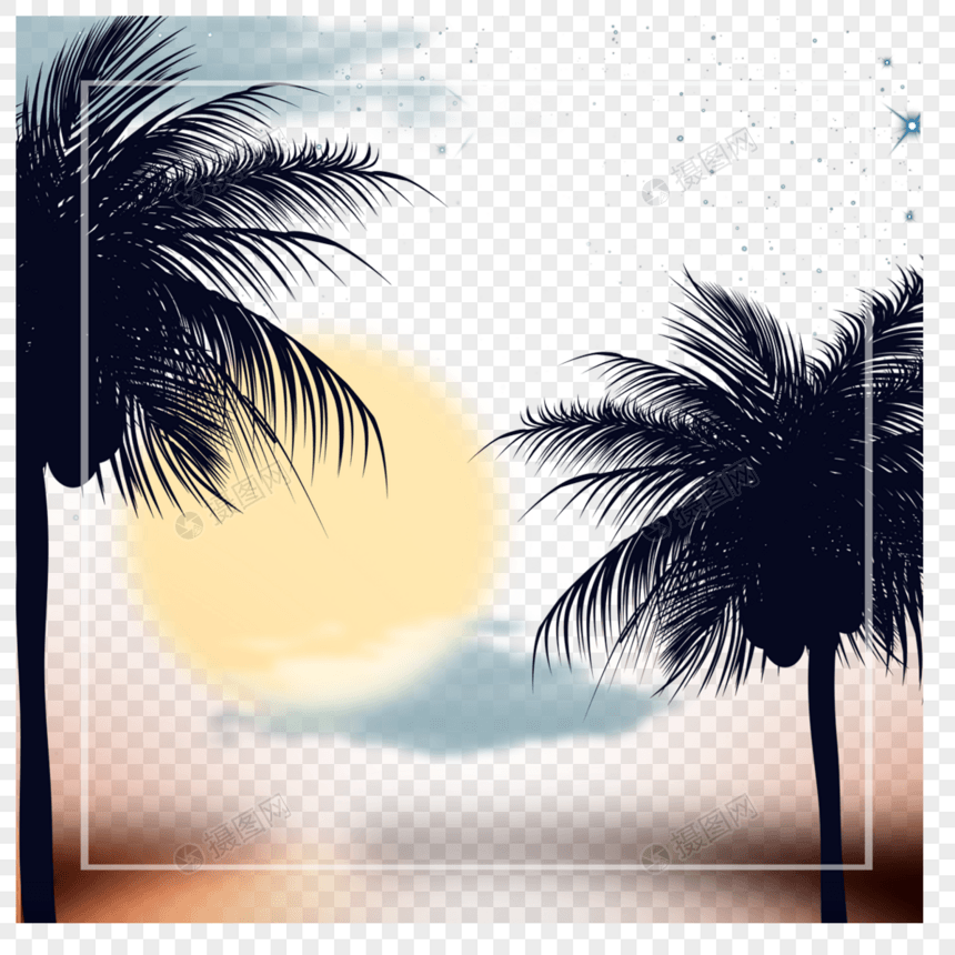 椰子树和月亮夏季夜晚边框图片