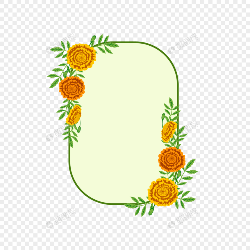 椭圆黄色万寿菊边框图片