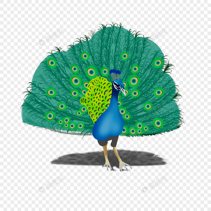 孔雀抽象绿色鸟类动物图片