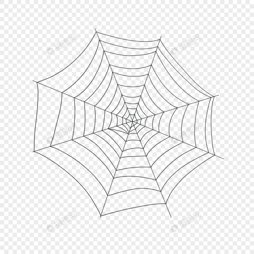 蜘蛛丝蜘蛛网昆虫线条图片