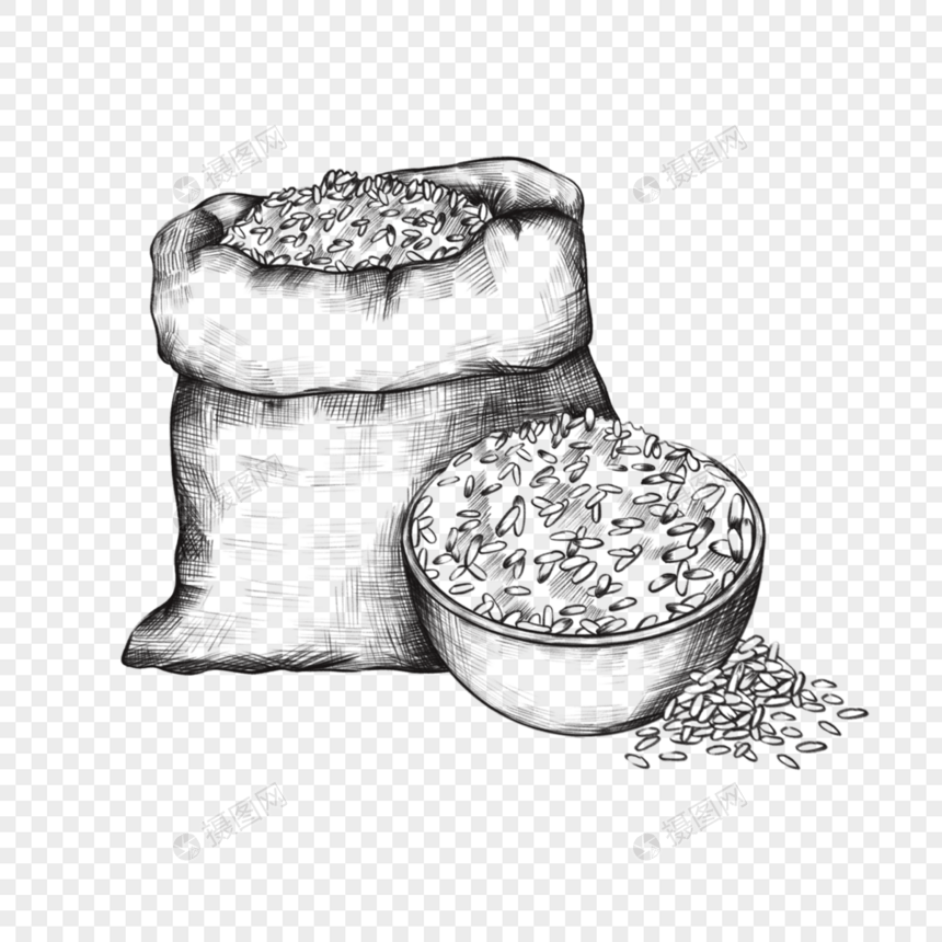 大米水稻复古风格草图健康创意线条图片