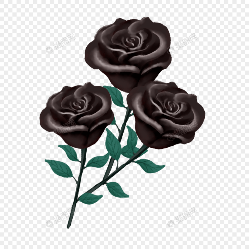 玫瑰黑色唯美风格图片