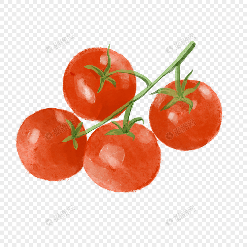 西红柿一串水彩蔬菜水果图片