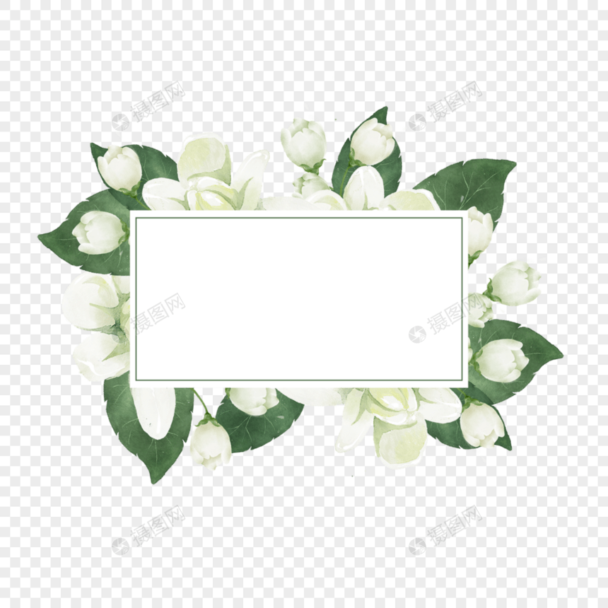 茉莉花边框长方形水彩花卉图片
