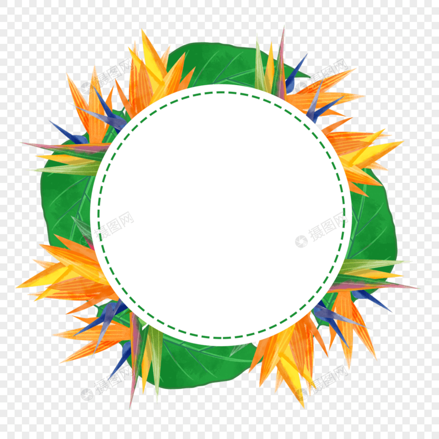 水彩热带树叶鹤望兰花卉圆形边框图片