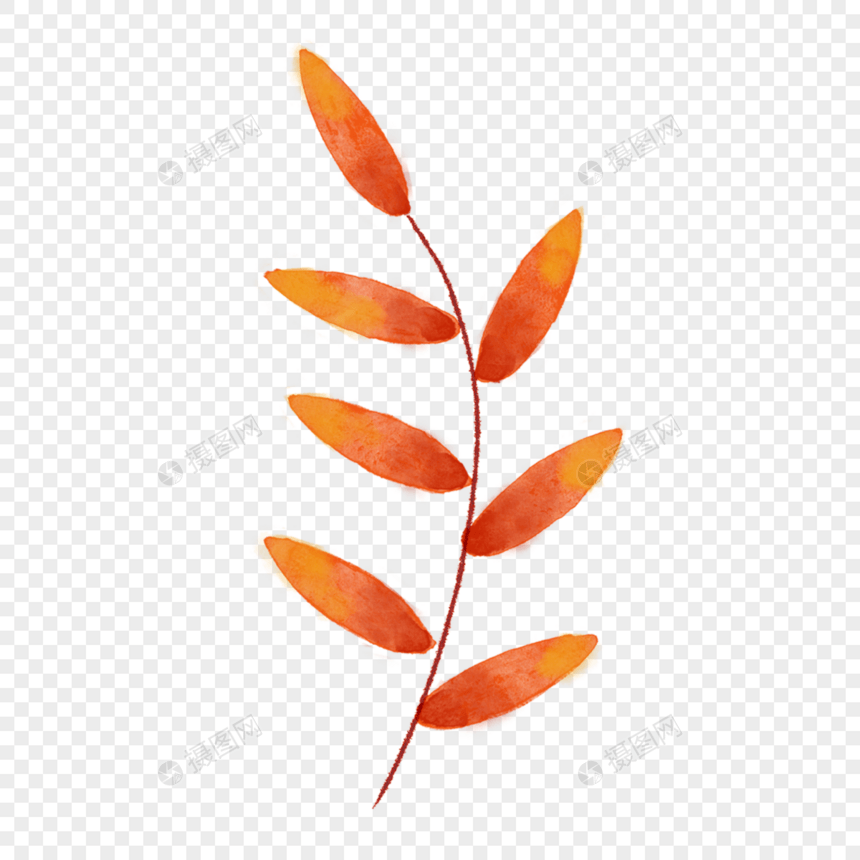 创意手绘叶子水彩秋季树叶图片