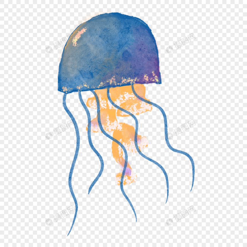 水彩海洋生物蓝色水母图片
