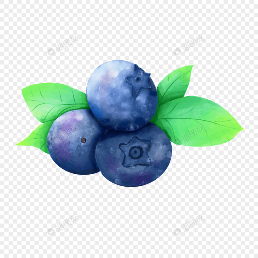 水彩水果蓝莓叶图片