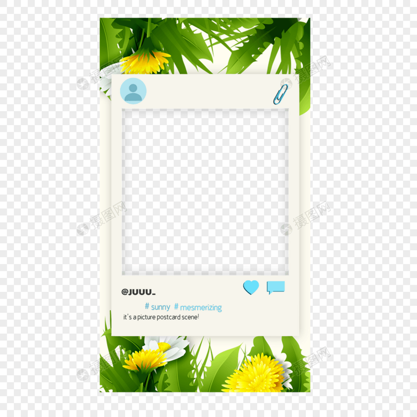 热带树叶宝丽来故事边框自然话花卉图片