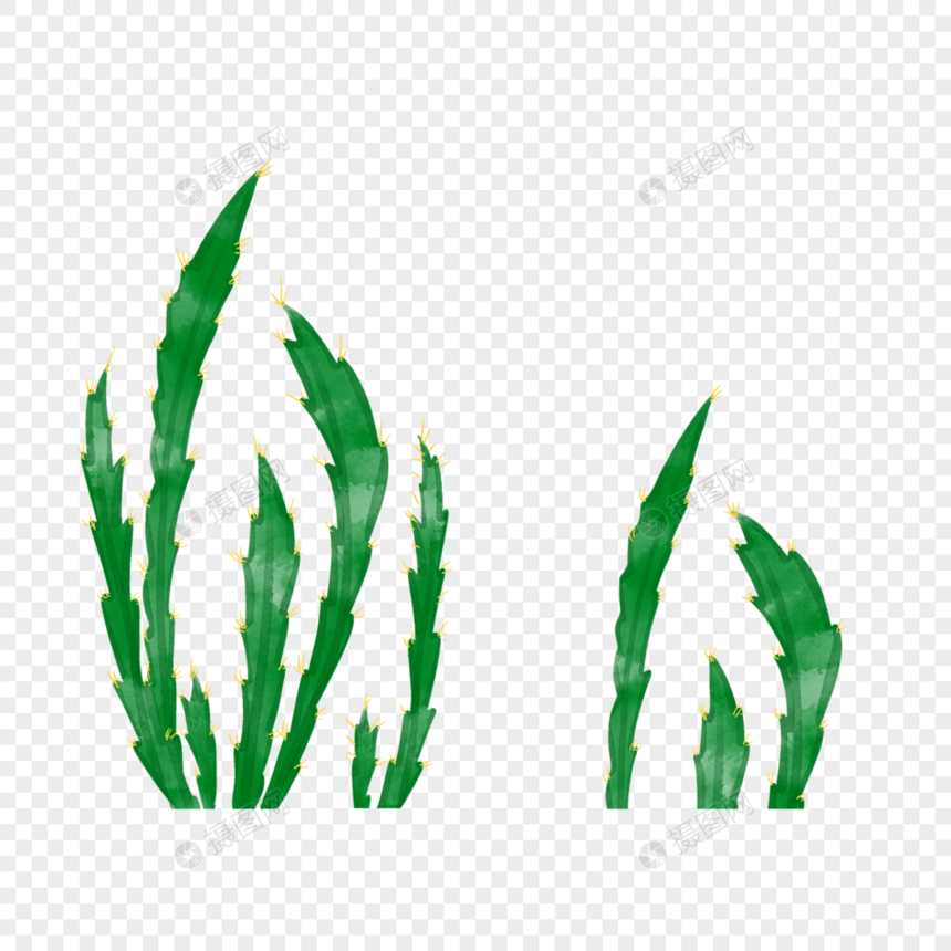 绿色卡通水彩植物水草剪贴画图片