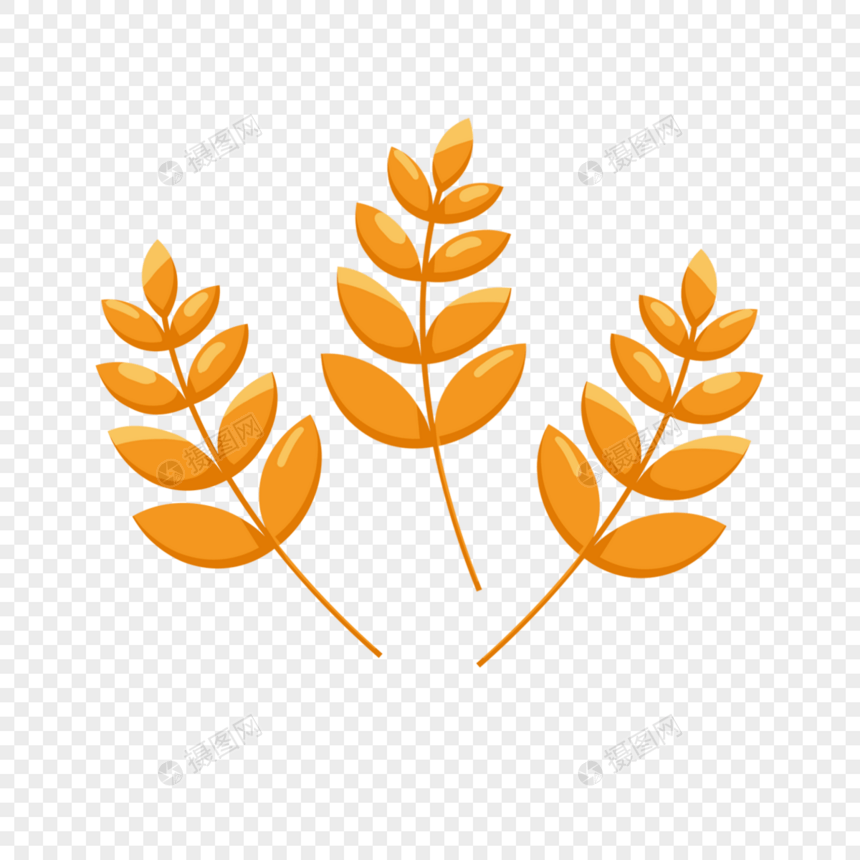 秋天橙色黄色丰收节麦子图片