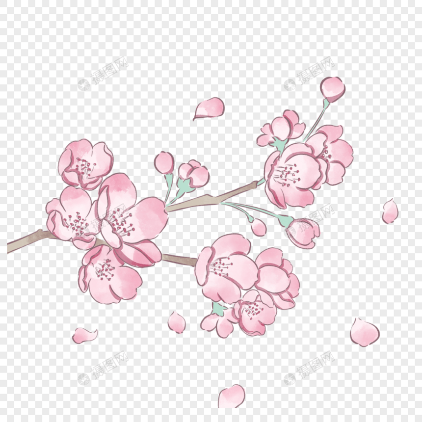 粉色水彩风格春季樱花图片