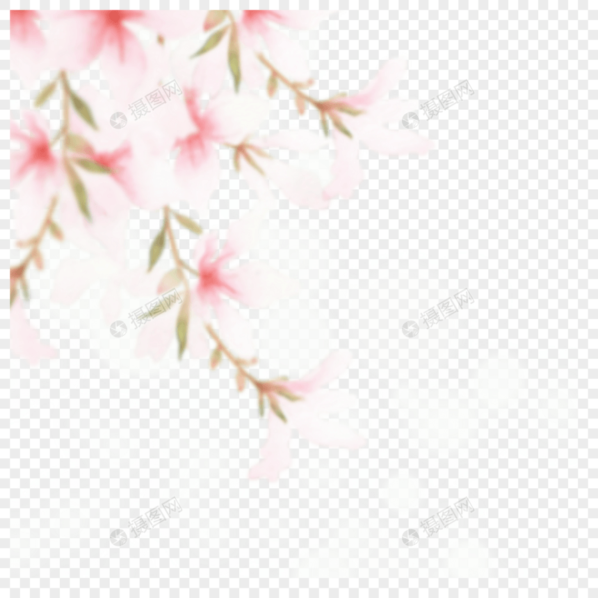 浪漫粉色樱花花枝图片