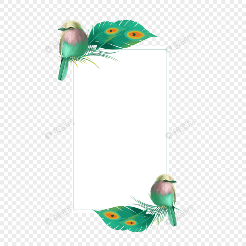 长方形绿色羽毛边框装饰图片