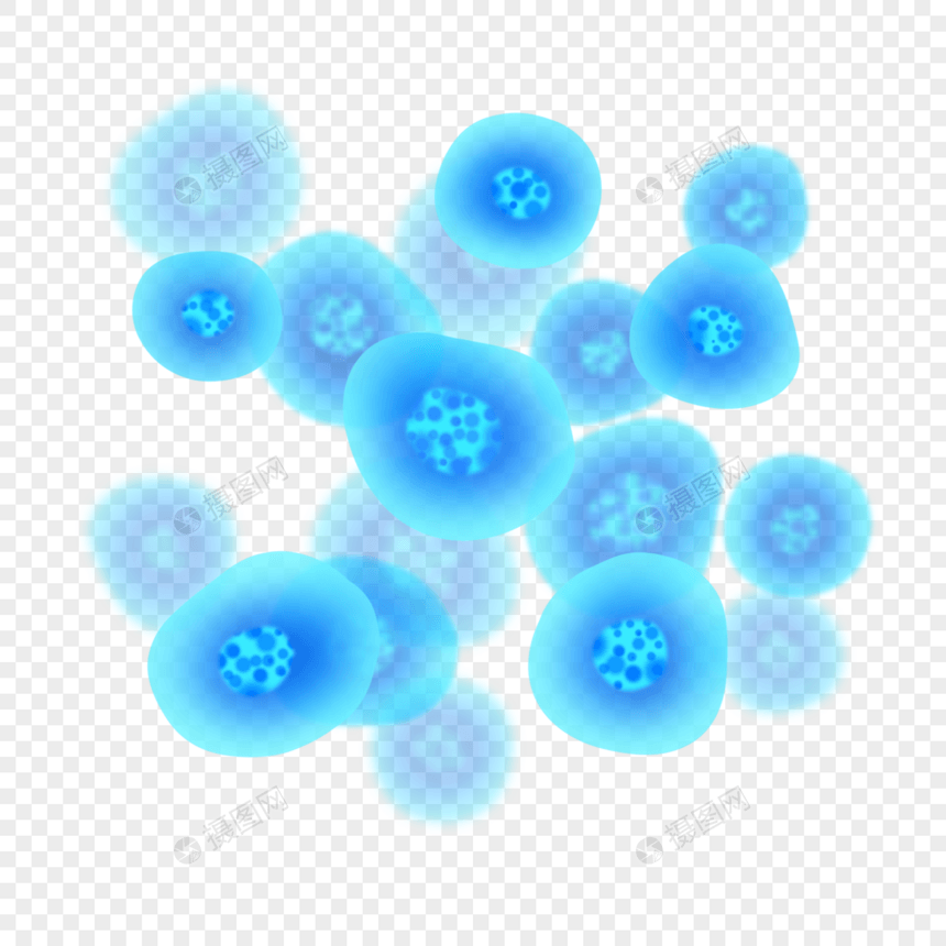 球形细胞圆形膜细胞蓝色透明图片