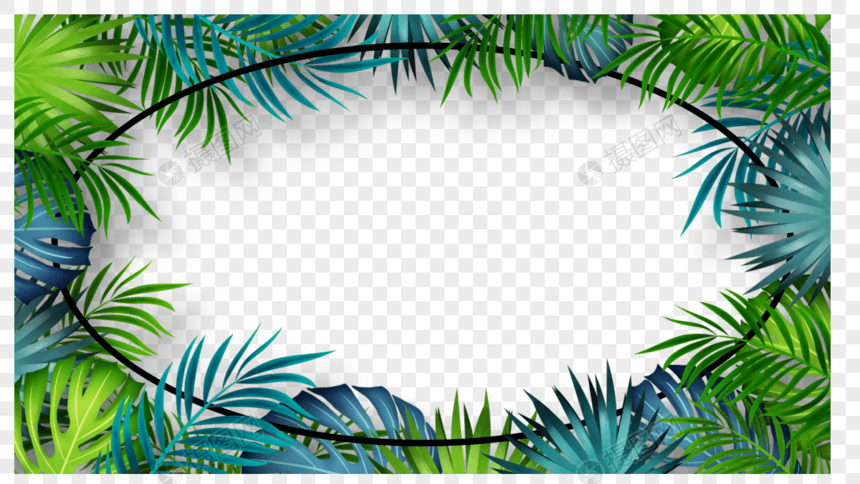 棕榈叶绿色植物叶子边框图片