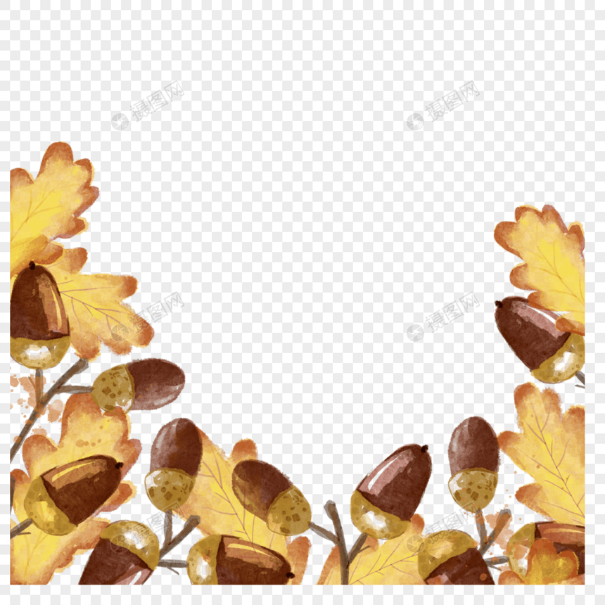 橡子植物自然水彩装饰边框图片