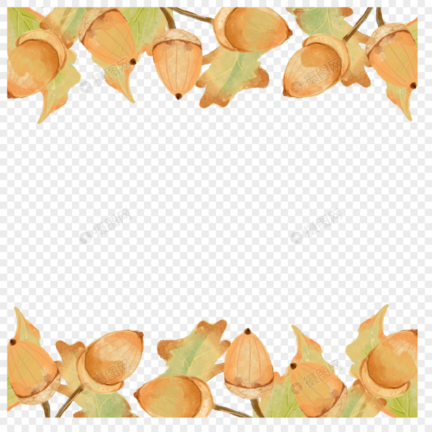 黄色橡子植物水彩边框图片