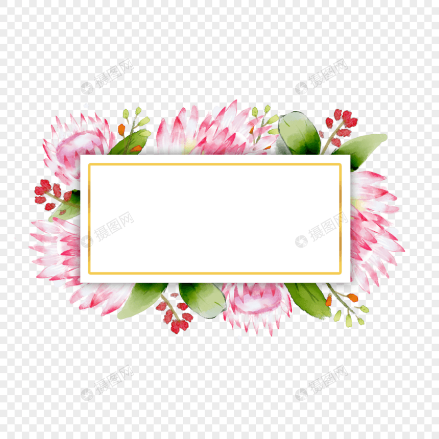 普罗蒂亚花卉水彩长方形边框图片