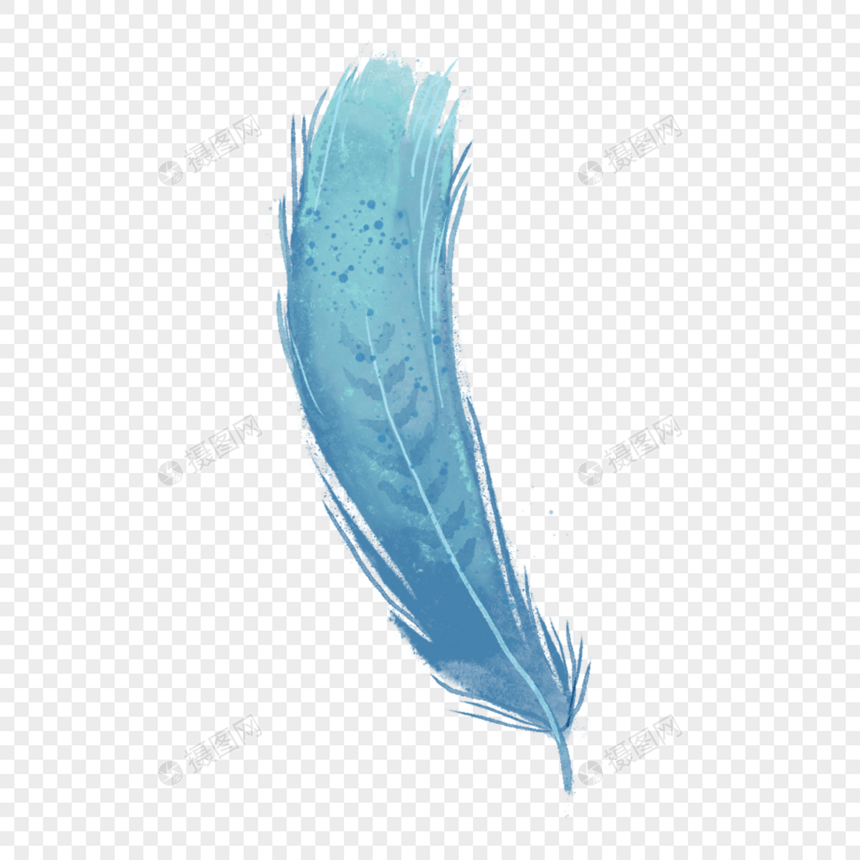 蓝歌鸲羽毛渐变蓝色翅膀图片