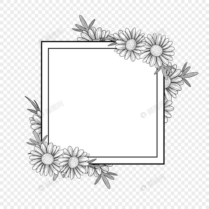 素描向日葵花卉边框图片