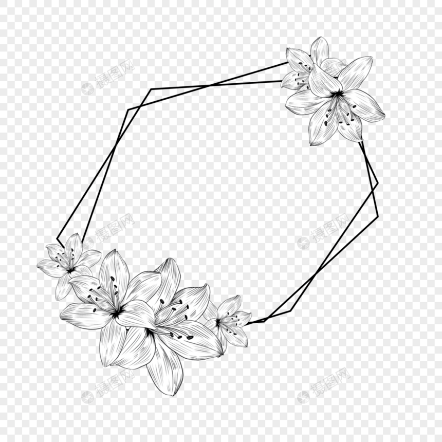 素描花卉黑色线条边框图片