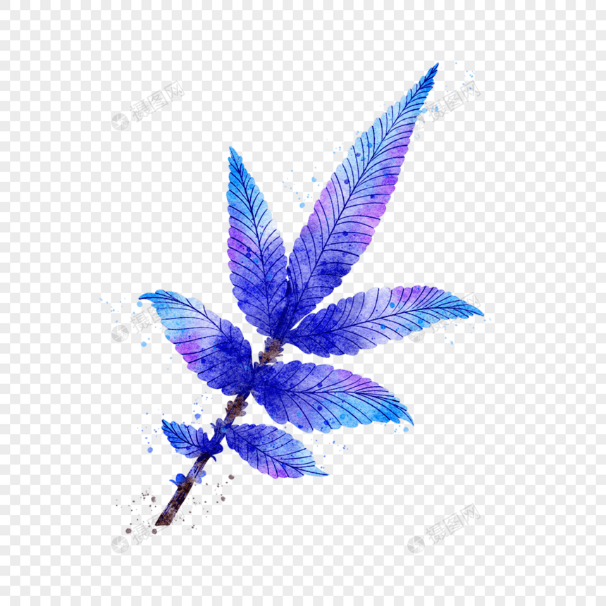 蓝色系植物树枝水彩图片