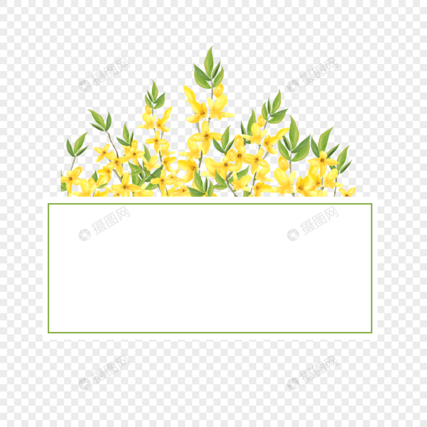 水彩连翘花卉方形几何边框图片