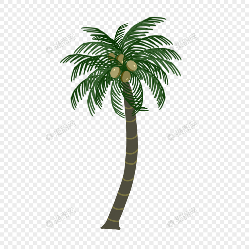 高高的椰子树卡通水果树图片
