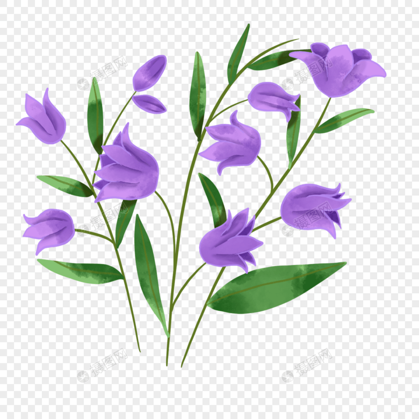 水彩风格蓝紫色蓝铃花婚礼花卉图片