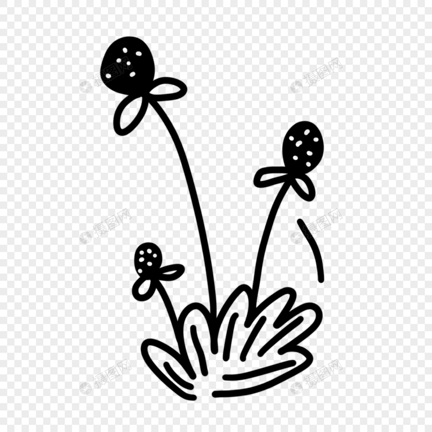 创意黑白单色涂鸦花朵线条图片