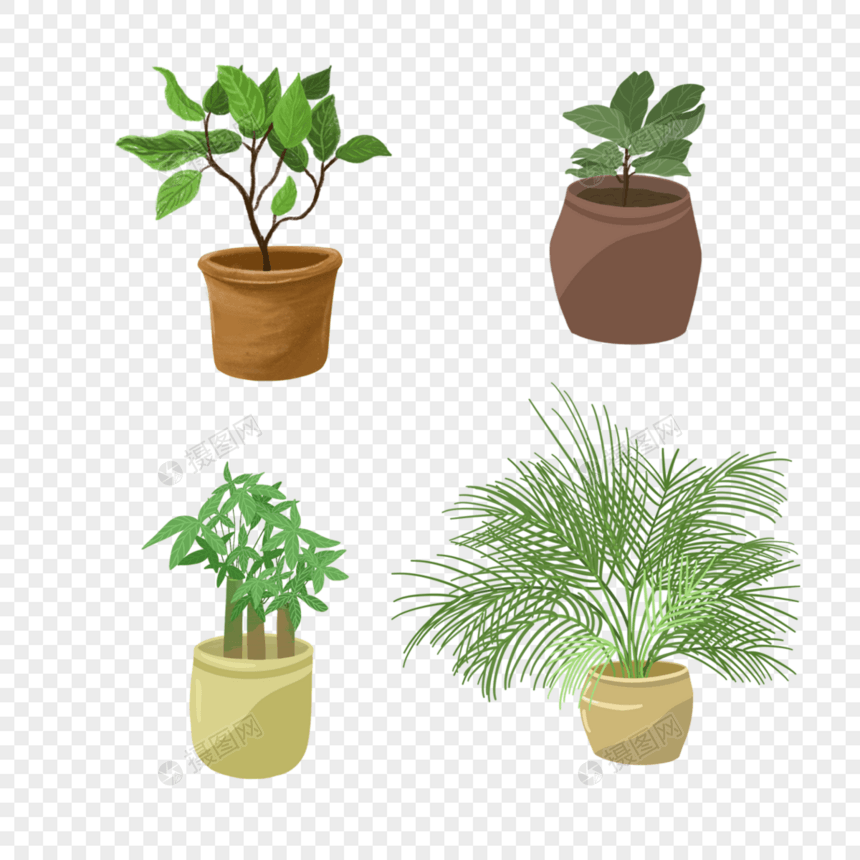 室内绿色植物盆栽组合剪贴画图片