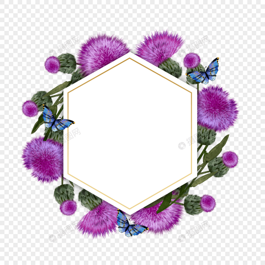 蓟花卉蝴蝶紫色水彩边框图片