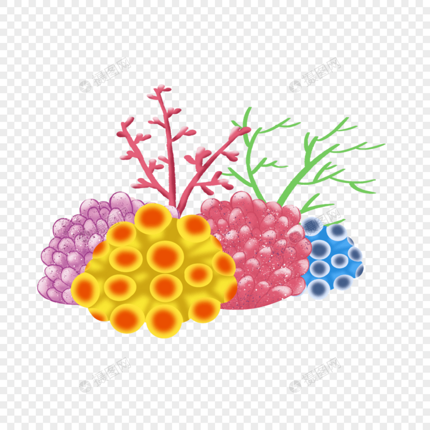 珊瑚礁多色植物插画图片