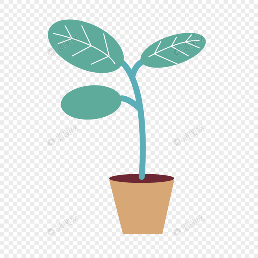 植物盆叶子装饰图片绿色图画图片