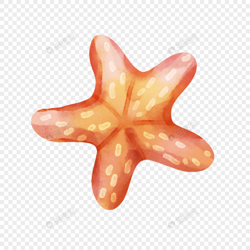 星星生物海星黄色图片图案图片