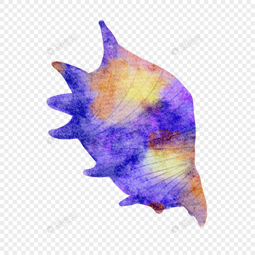 海螺蓝色海洋生物绘画图片图片
