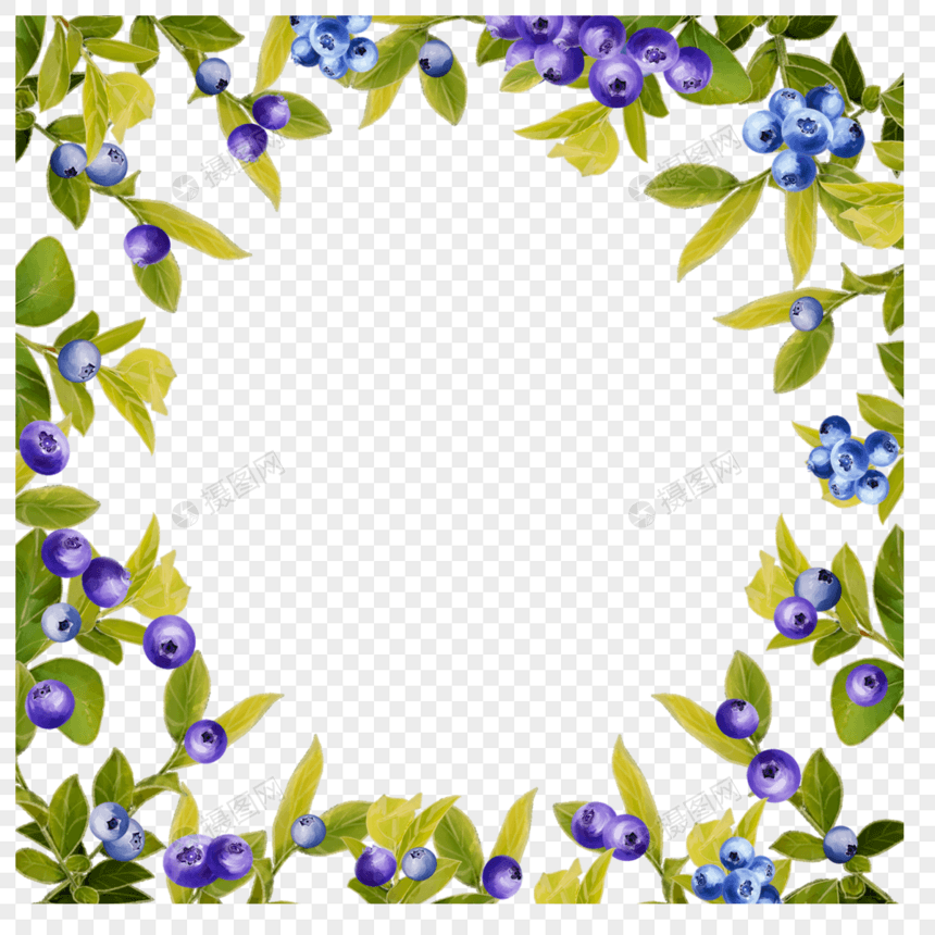 水彩蓝莓圆形边框图片